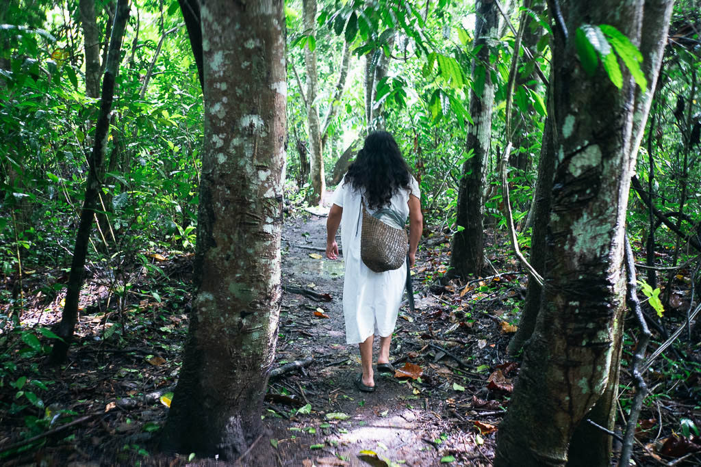 Forest in Palenque, Mexico.